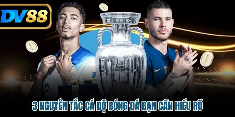 Luật Cá Độ Bóng Đá - Quy Định Và Cách Áp Dụng Hiệu Quả 3 3 nguyên tắc cá độ bóng đá bạn cần hiểu rõ