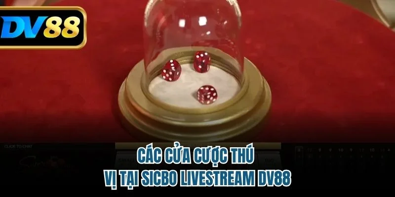 Sicbo Live Stream DV88 – Trò Chơi Cá Cược Xí Ngầu Hấp Dẫn 4 Các cửa cược thú vị tại sicbo livestream DV88