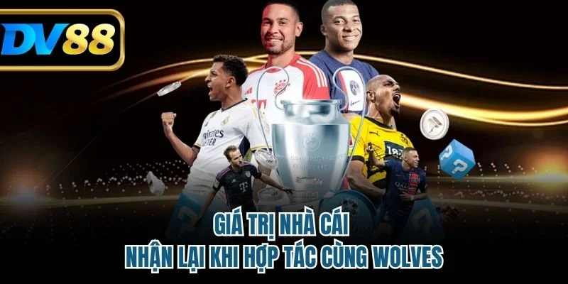 DV88 Hợp Tác Với Wolves - Bước Đột Phá Chiến Lược Mới 4 Giá trị nhà cái nhận lại khi hợp tác cùng Wolves