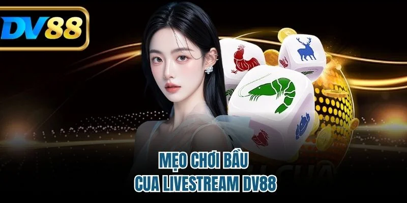 Bầu Cua Livestream DV88 – Sân Chơi Giải Trí Đỉnh Cao 4 Mẹo chơi bầu cua livestream DV88
