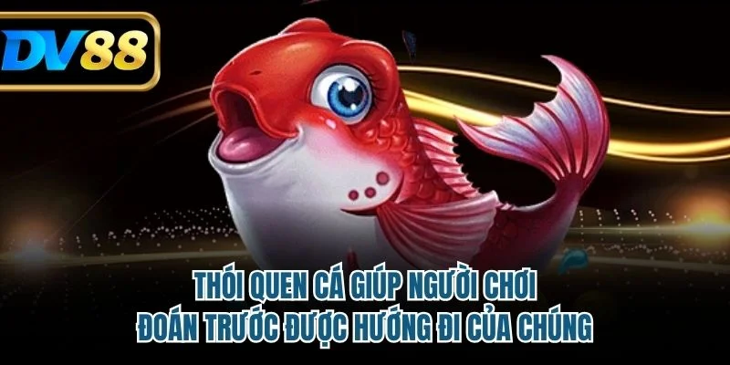 Bắn Cá Oneshot - Phiêu Lưu Đại Dương, Nhận Thưởng Đậm 3 Thói quen cá giúp người chơi đoán trước được hướng đi của chúng